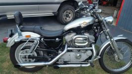 883 sporty_1.jpg